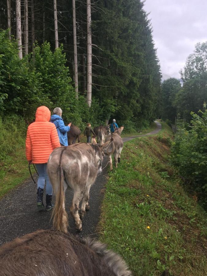 Bed and Breakfast Wengerwirt Zur Laube Weng im Gesause Zewnętrze zdjęcie