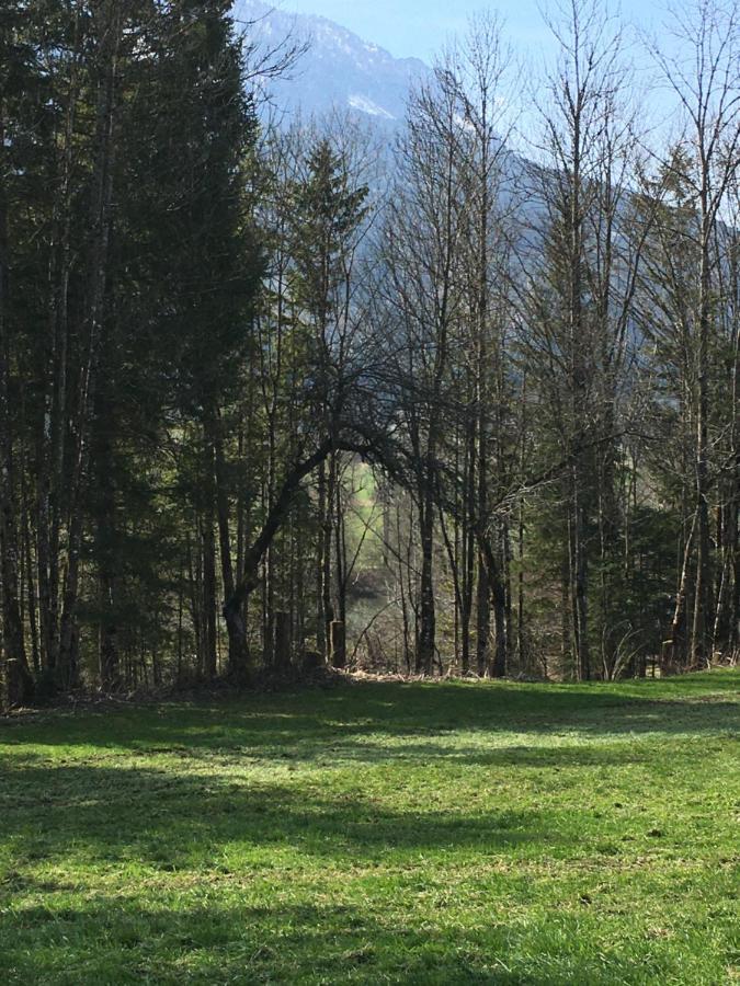 Bed and Breakfast Wengerwirt Zur Laube Weng im Gesause Zewnętrze zdjęcie