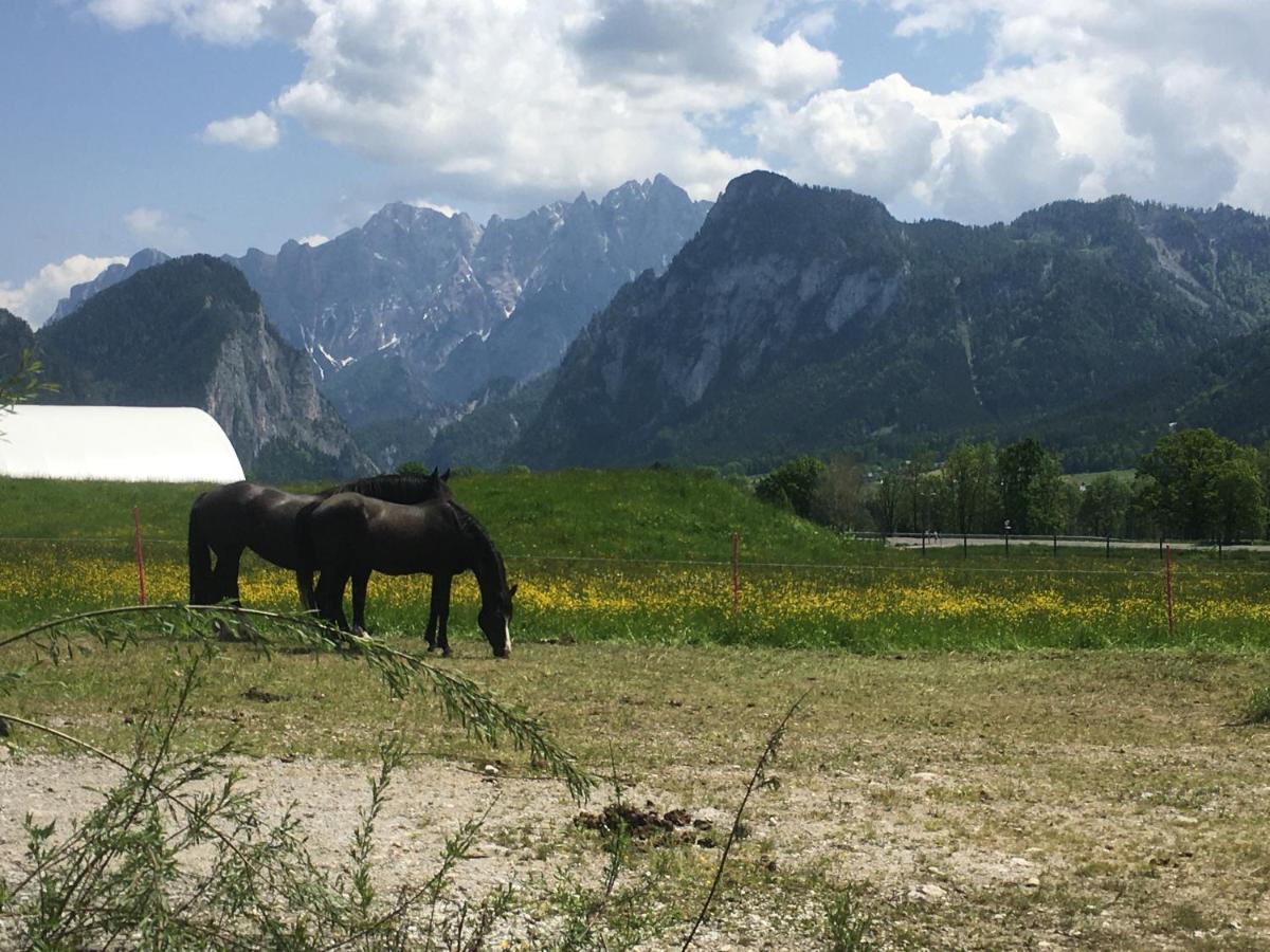 Bed and Breakfast Wengerwirt Zur Laube Weng im Gesause Zewnętrze zdjęcie