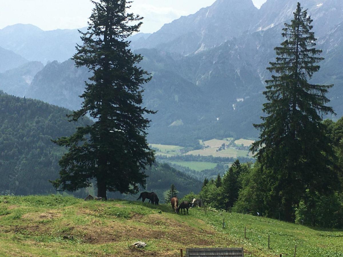 Bed and Breakfast Wengerwirt Zur Laube Weng im Gesause Zewnętrze zdjęcie