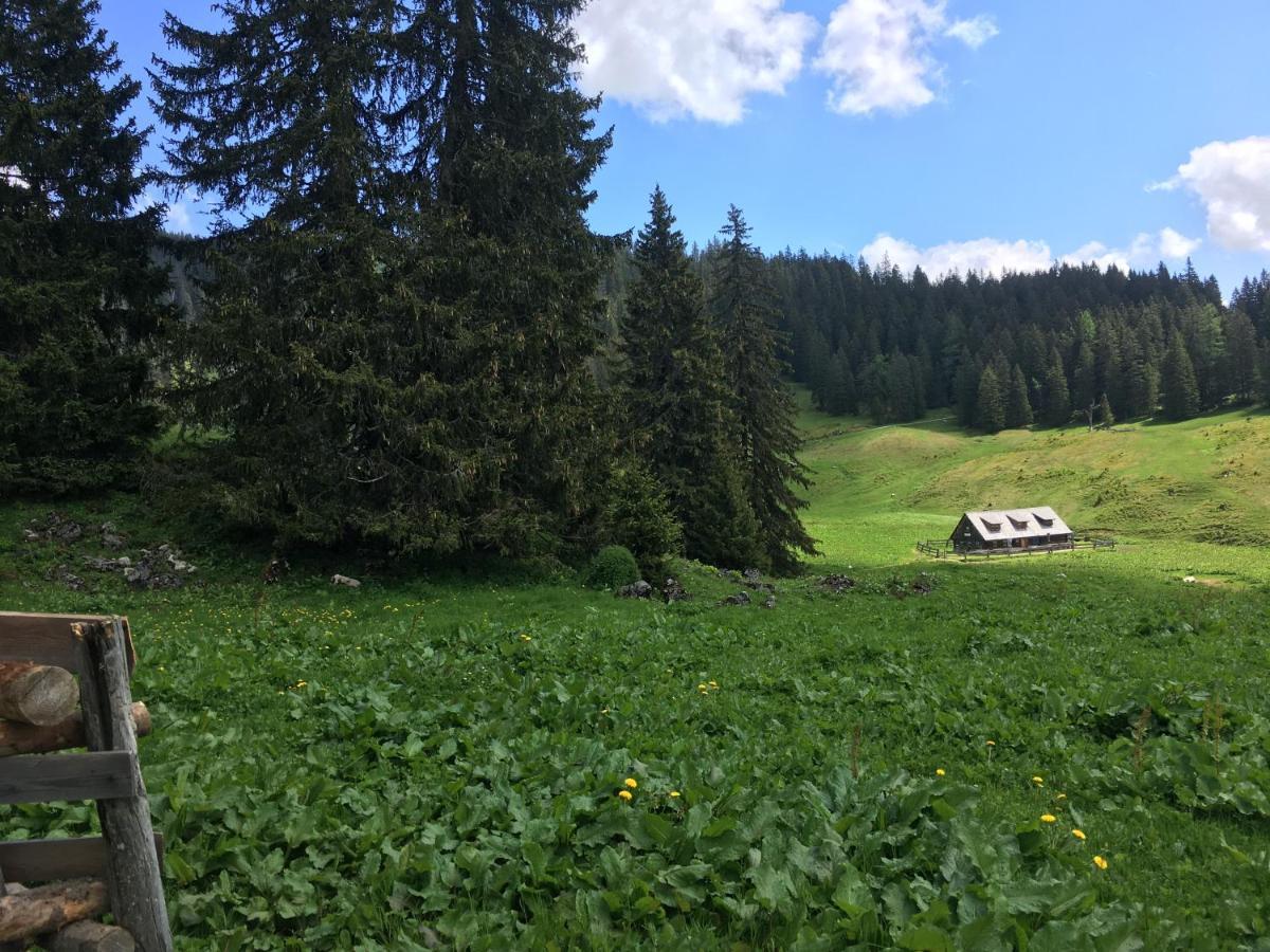 Bed and Breakfast Wengerwirt Zur Laube Weng im Gesause Zewnętrze zdjęcie