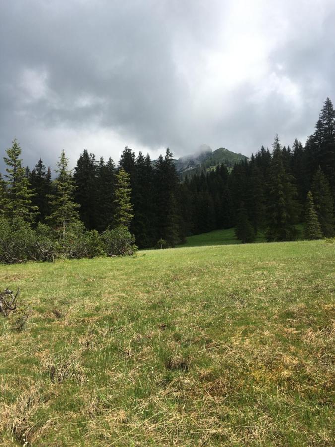 Bed and Breakfast Wengerwirt Zur Laube Weng im Gesause Zewnętrze zdjęcie
