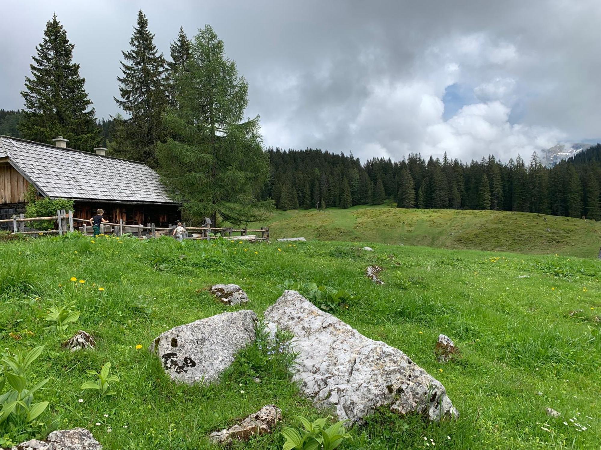 Bed and Breakfast Wengerwirt Zur Laube Weng im Gesause Zewnętrze zdjęcie